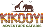 Kikoyi Adventure Safaris